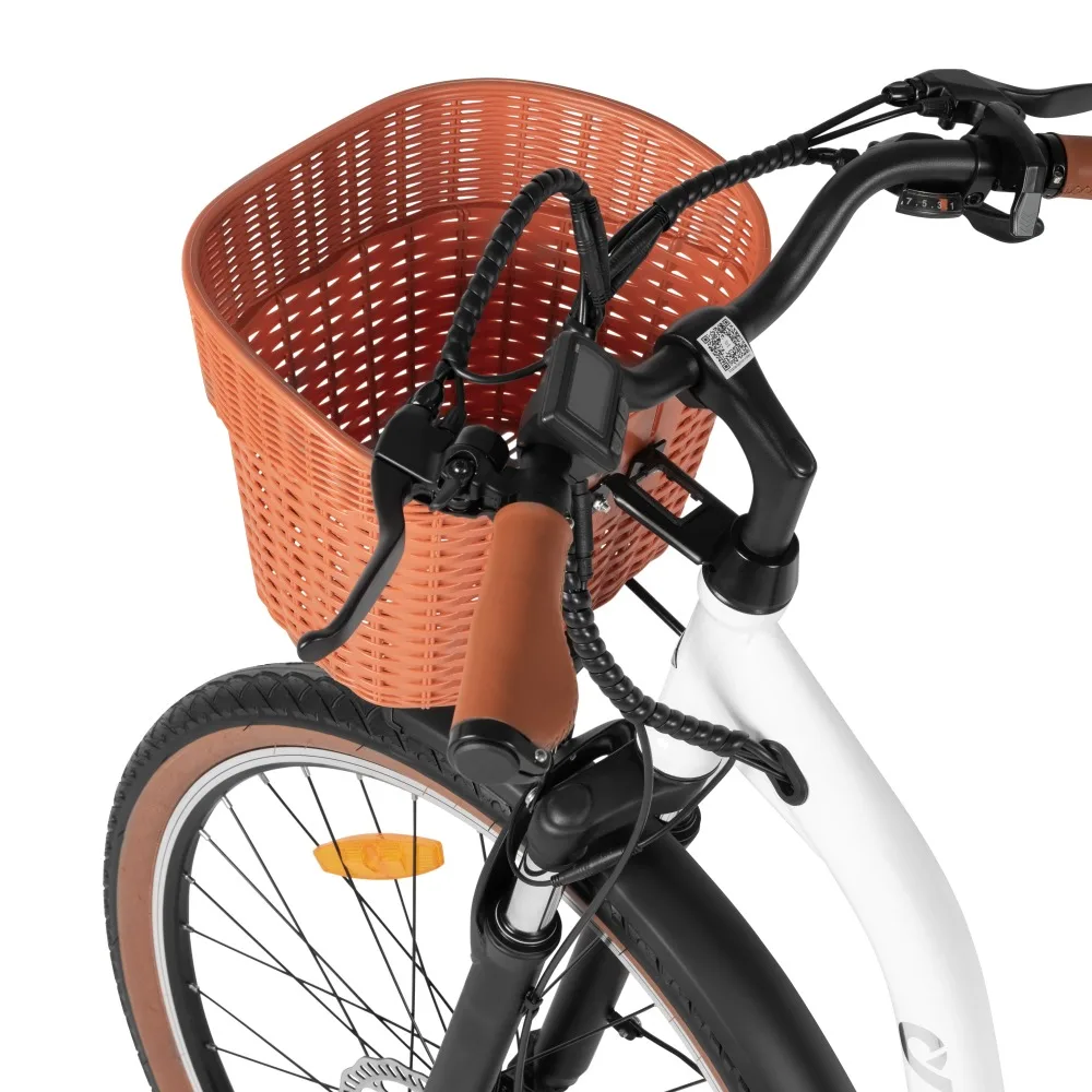 2024 NEW DYU C6 PRO Electric City Bicycle Steel Frame Hidden Lithium Battery Cheap Electric Road Bike