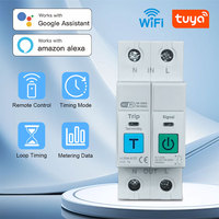 2P TUYA WiFi Smart Circuit Breaker Real-time Timer Energy Voltage Current Meter Protector Voice Remote Control Switch 1A-63A