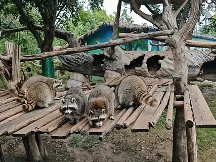 

135 мм металлический 2,2 "бесерный обод колеса, набор шин для 1/10 1/8 RC гусеничного автомобиля, осевой SCX10 H8H YK4083