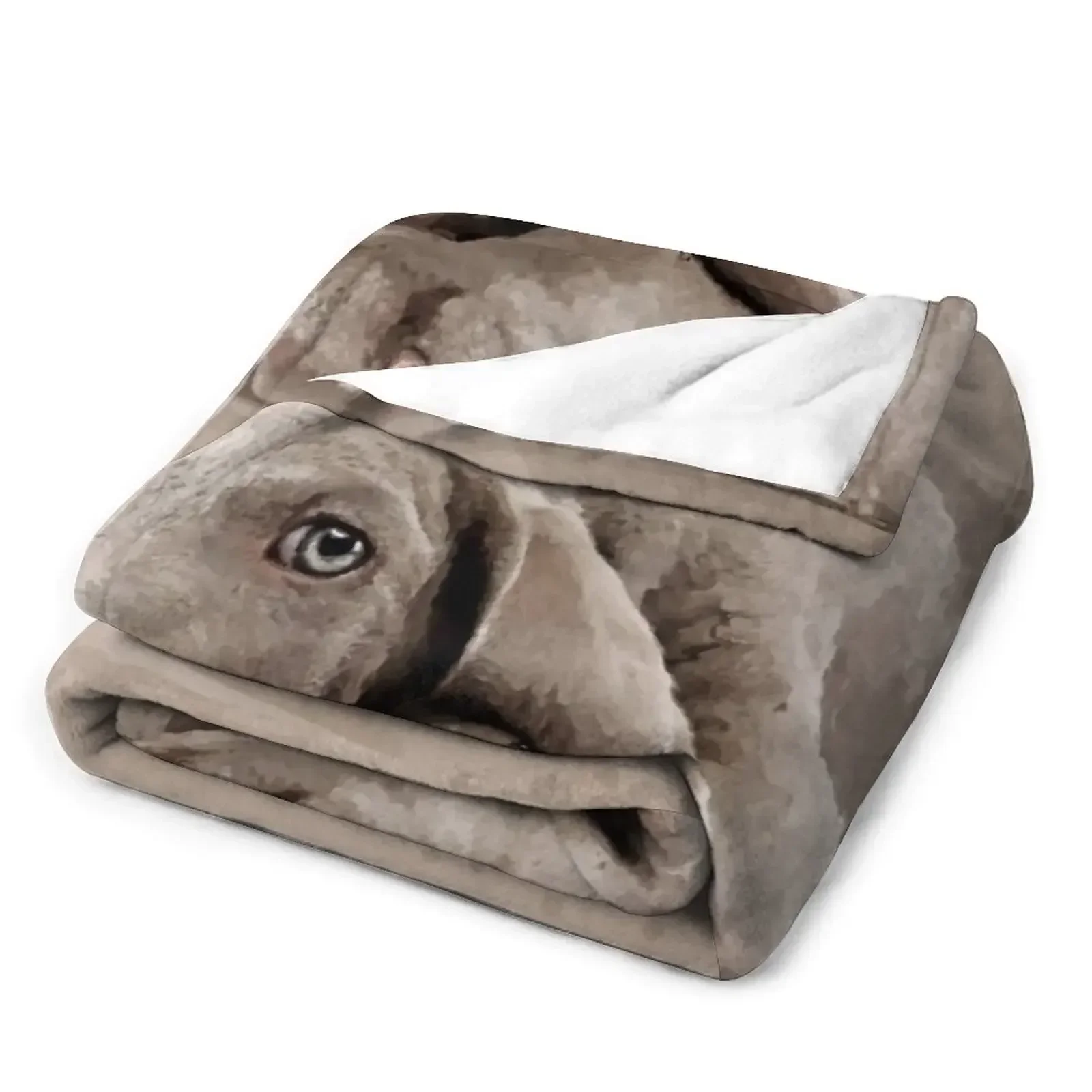 Weimaraner puppy Throw Blanket Soft Big Cute Blankets blankets for beds  blankets  throw blanket  thin blanket  coraline