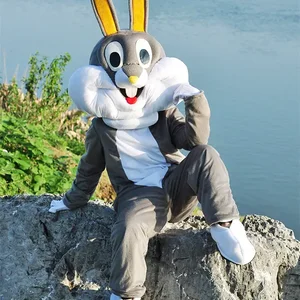 تميمة الأرنب التأثيري والبق الأرنب ، زي الإعلان عن الشخصيات الكرتونية ، كرنفال حفلة ، دعائم عرض مسرح الأنيمي أفضل 6 ملابس أرنب قزم مبيعا - No4