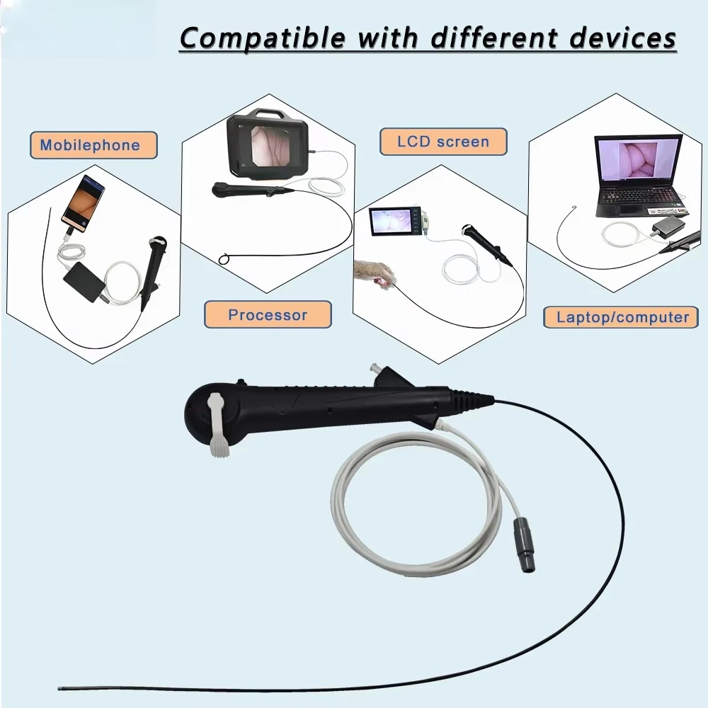 Disposable Flexible Ureteroscopy System, High-Definition Urology Diagnostic Equipment, Multi-Compatible Uroscope for Clinical, P