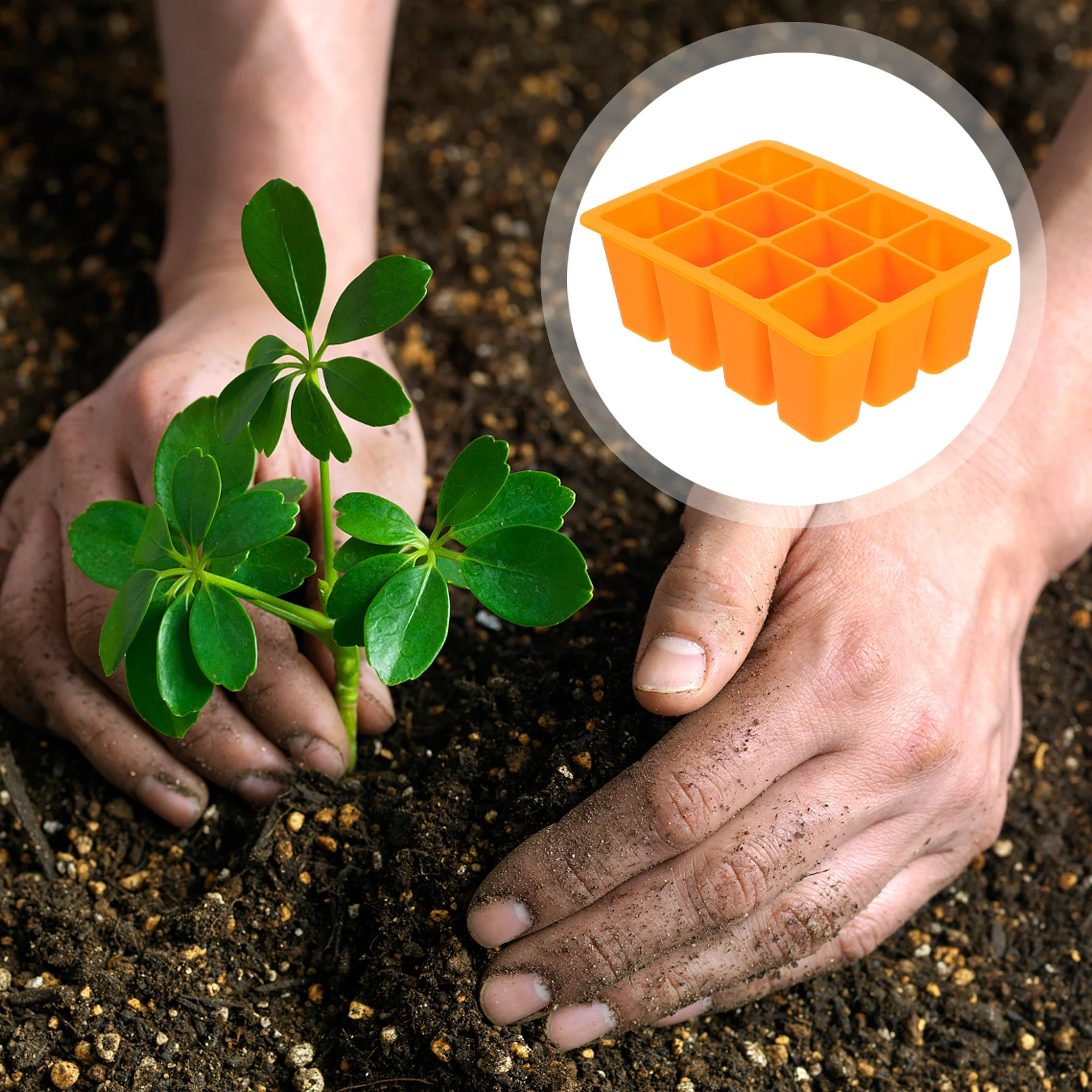 

reusable Plant Starter Tray Germination Nursery Growing Tray For Herbs Flowers Succulents Cacti Indoors Outdoor Garden