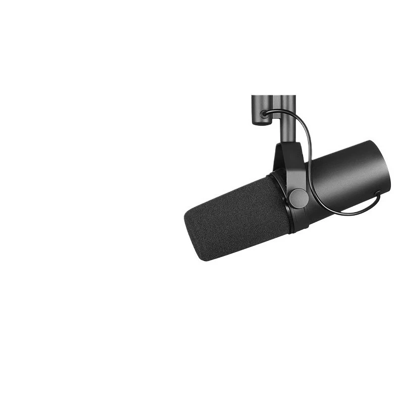 Voice Dynamic Micro…