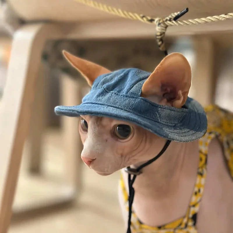 Cotton Cat Hat With Ear Holes For Sphynx Sphinx Hairless Cats Kitten Devon Rex Sunscreen Travel Hiking Tie Dye Adjustable Hats