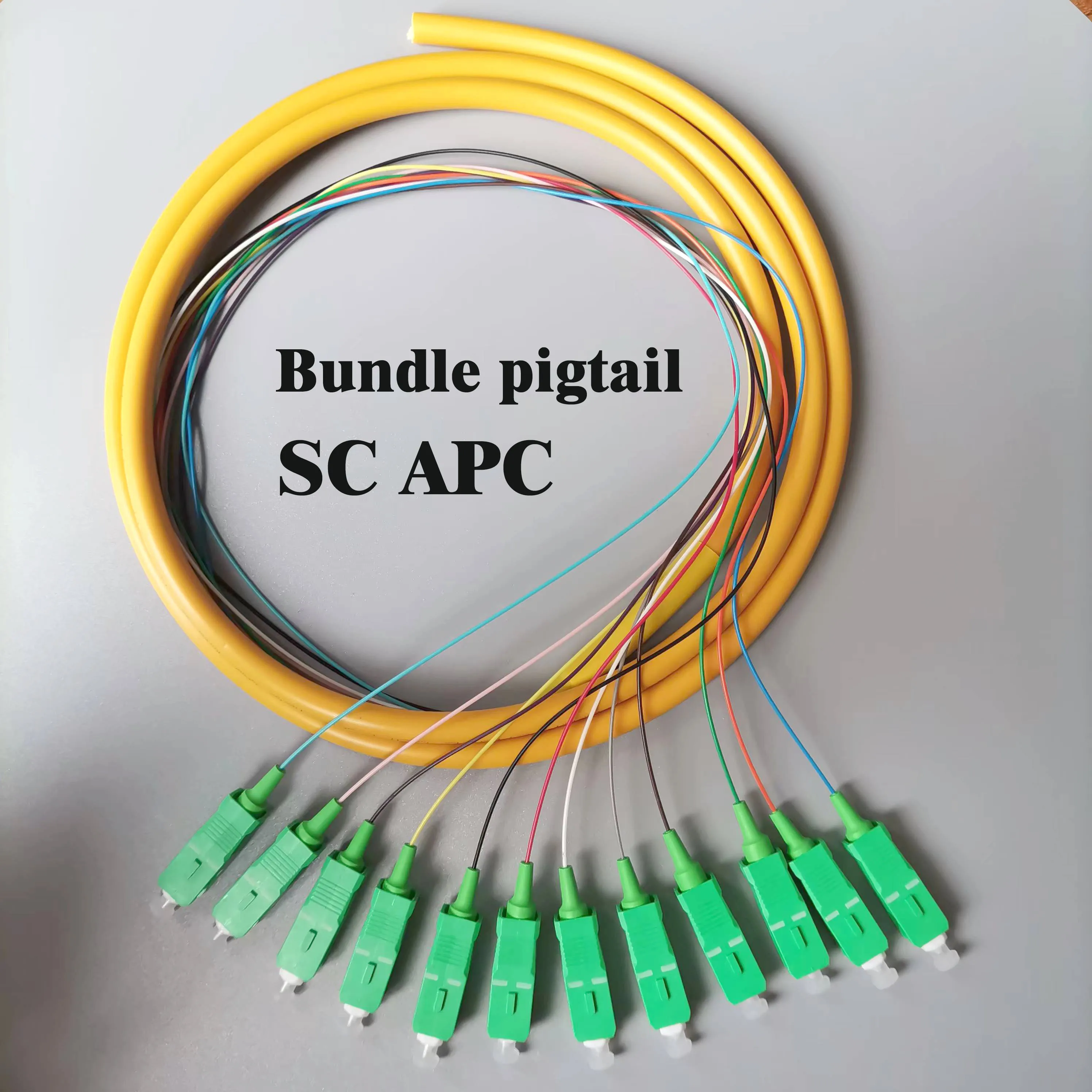 Pigtail de Fiber optique monomode SC APC, 1.5m, cavalier de Fiber optique SC, queue de cochon ODF à 12 cœurs, paquet de 12 cœurs