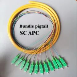 Fiber Optic Pigtail  SC/APC Single Mode 1.5m SC Optical Fiber Jumper 12-Core Pigtail ODF Pigtail Bundle Pigtail