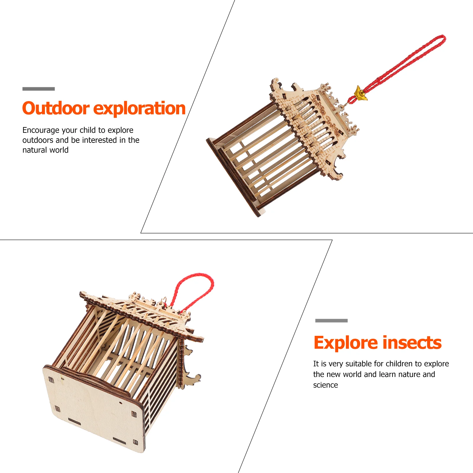 Jumping Spider Cage Grasshopper Cricket Portaoggetti Allevamento Fodere per cestini in legno