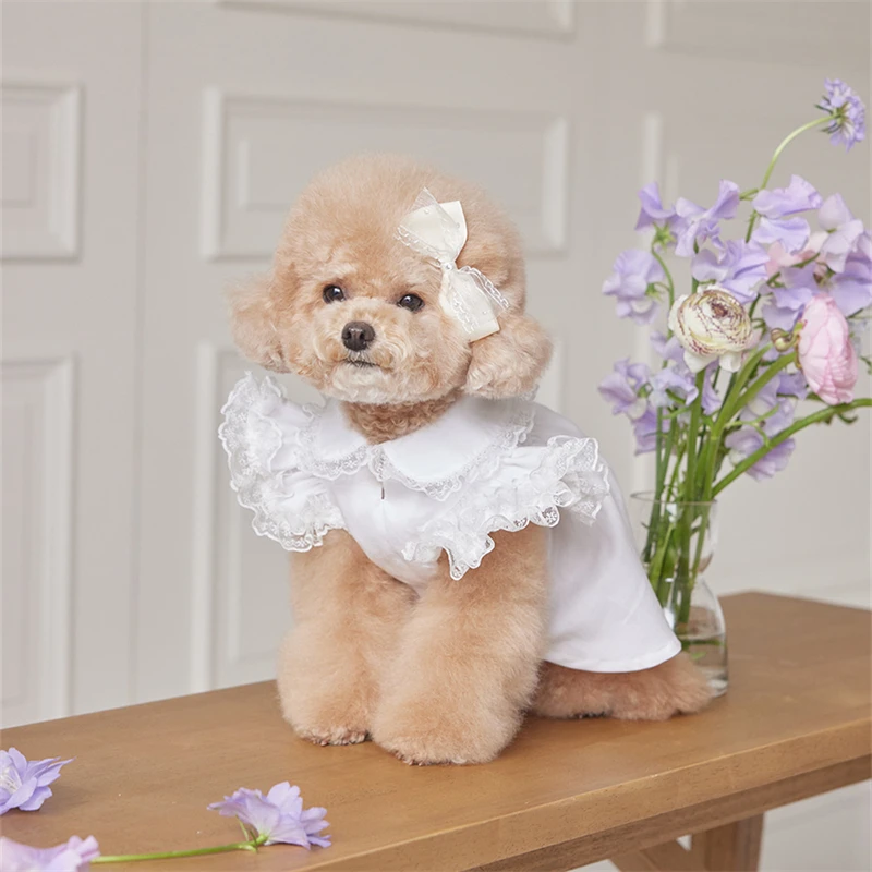 

Dog Dress Lace Ruffle Doll Collar Dog Clothes for Small Dogs Female Girls Dog Birthday Wedding Outfits Chihuahau Yorkie Clothes