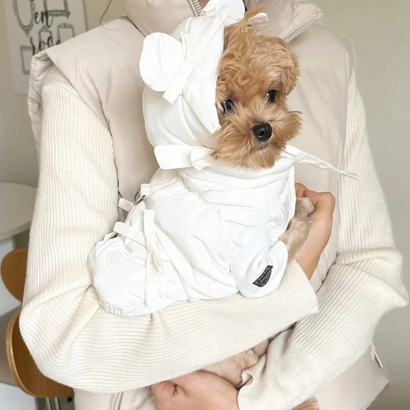 Pet Thickened Cotton-padded Jacket Teddy Bear Pomeranian Poodle Small Dog Bichon Frise Yorkshire Terrier Cat Dog Clothes view 4