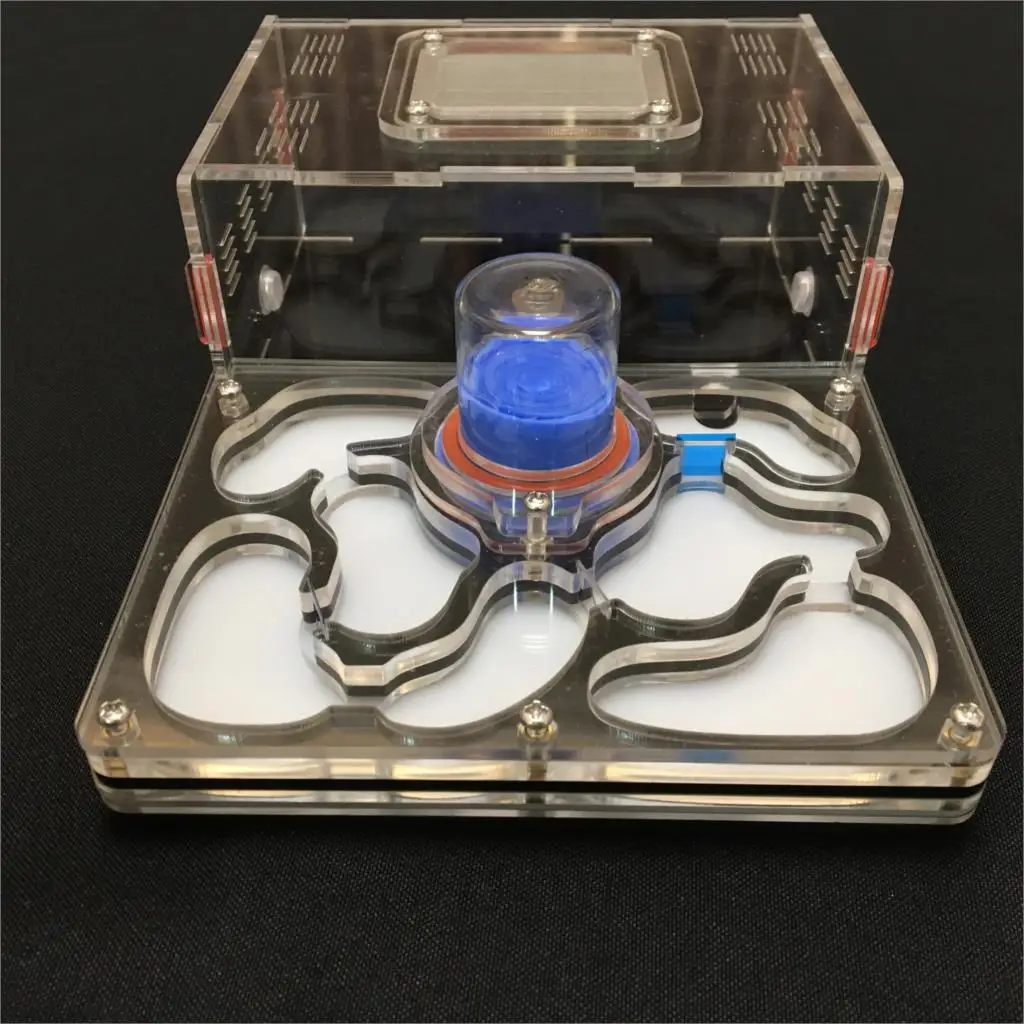 Thumbnail 3 - #14 New Ant Farms Arrivals