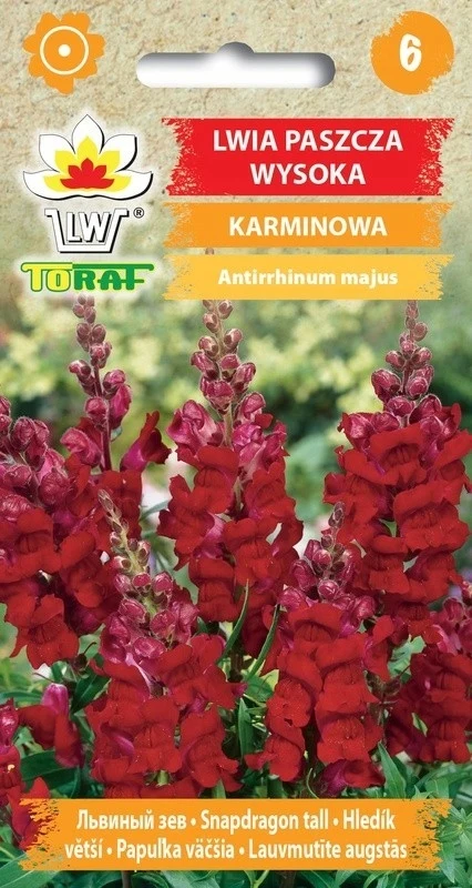 Hoge kwaliteit Carmine Lion's Mallow bloemzaden-556 Toraf