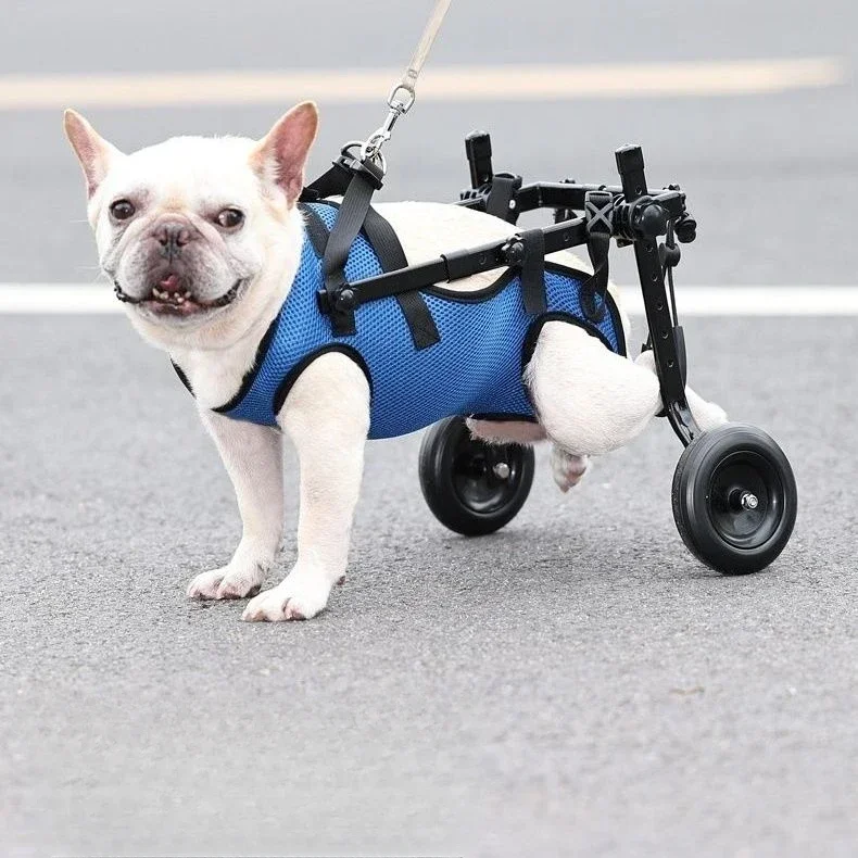 Dog pet wheelchair hind leg support, hind leg paralysis rehabilitation disability elderly dog assisted stroller walking bike