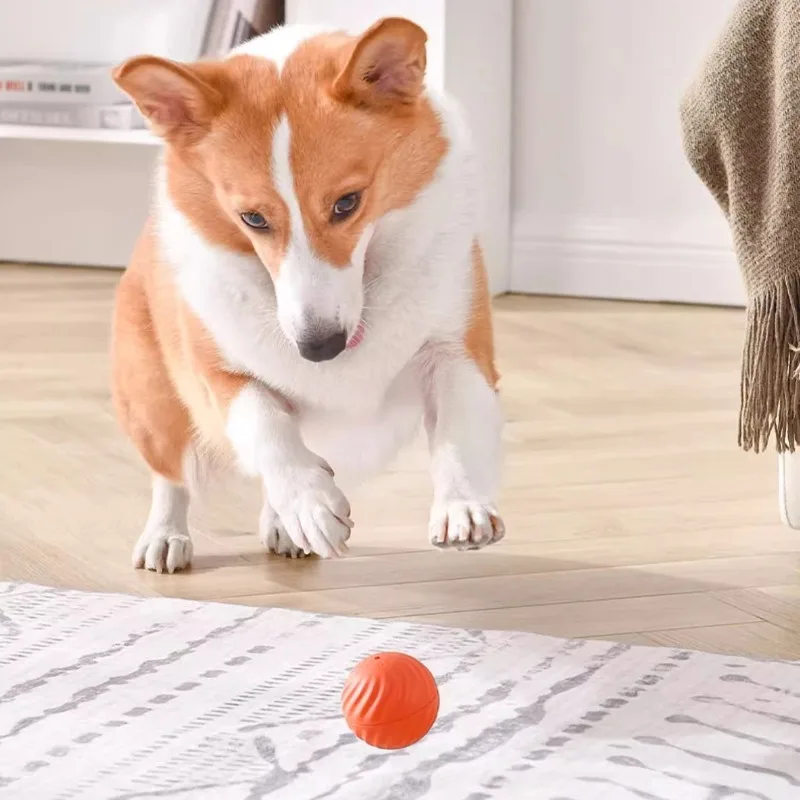 Thumbnail 4 - #55 Best Puppy Balls to Buy In 2026