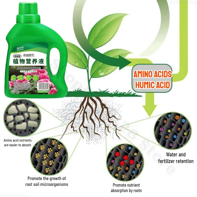 Thumbnail 3 - #9 Trending Plant Pots Right Now