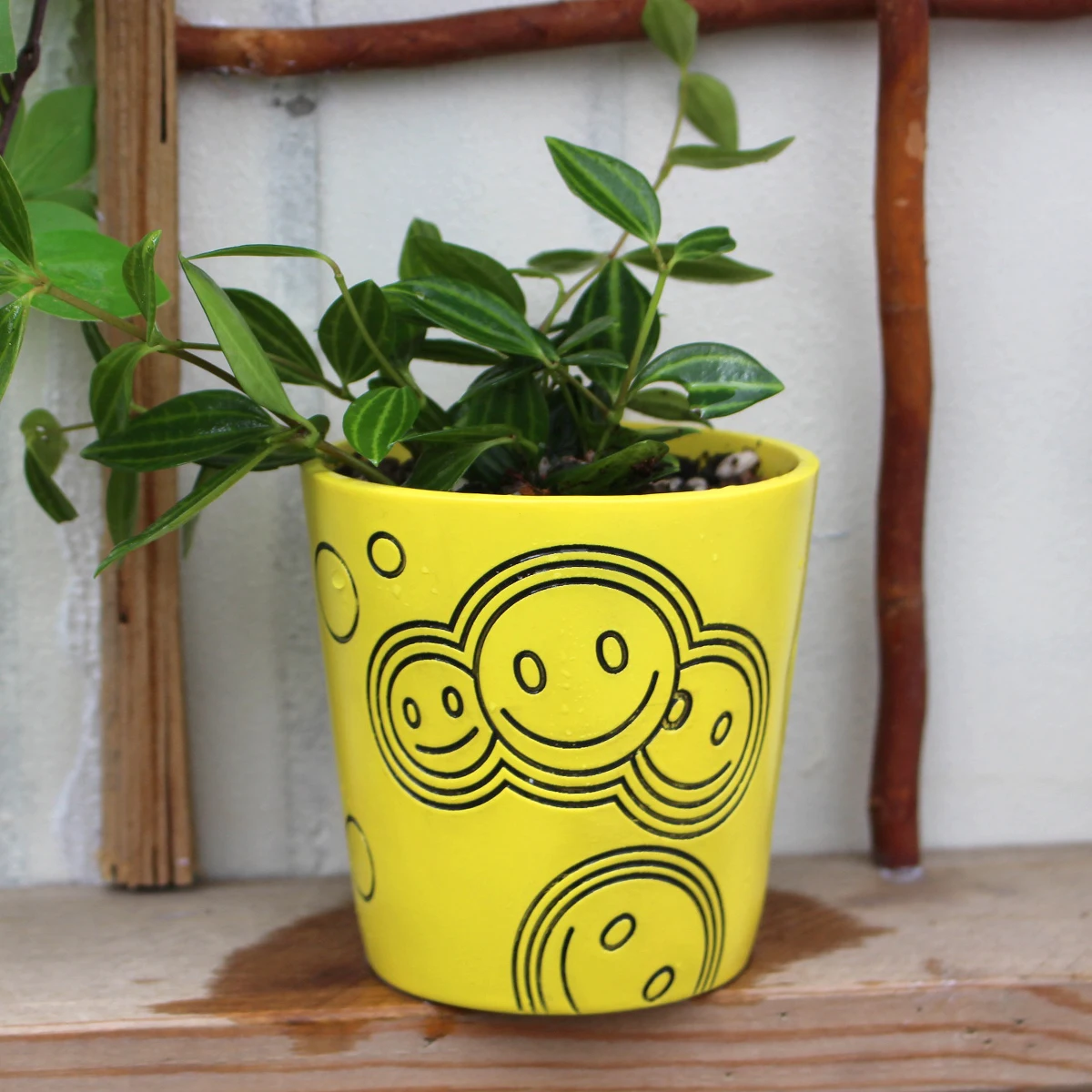

1 piece set of yellow smiling face resin succulent petri dishes, garden balcony cactus flower cultivation flower pot