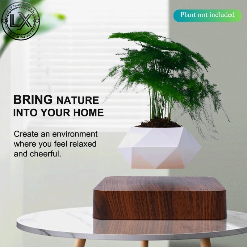 Floating Plant Pot Magnetic Levitating Plant Pot for Succulents Air Bonsai and Fake Flowers