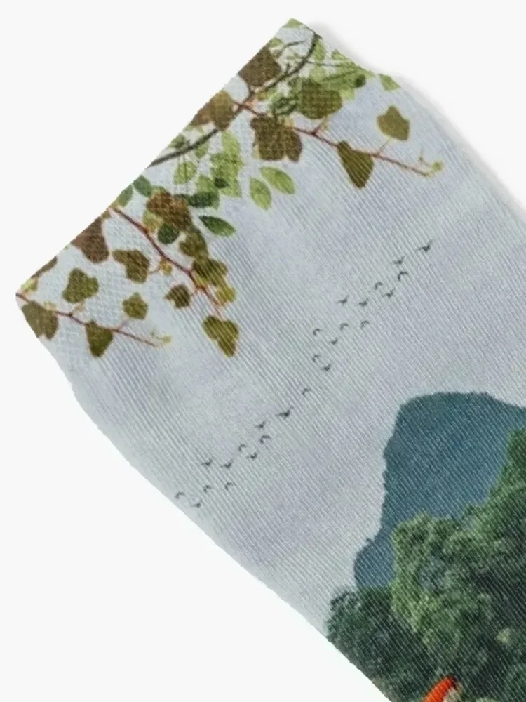 NEW WORLD Socks cotton with print winter Stockings man Men Socks Luxury Brand Women's