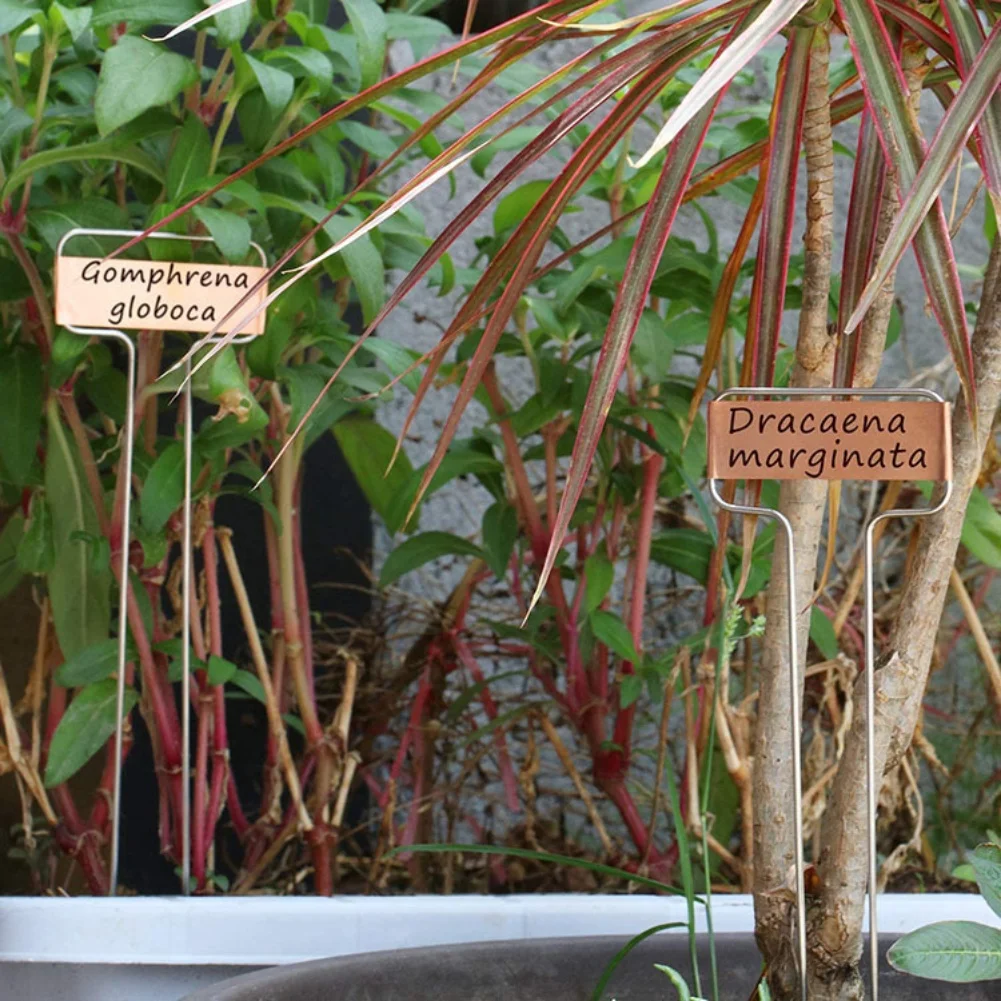 30Pcs Plant Labels Plant Tag For Garden Plant Markers Nameplate Plant Tag  Flower Garden Tag For Potted Plant