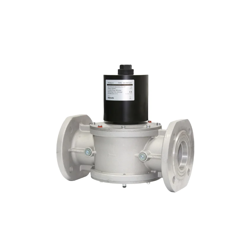 

DEVRG 230V AC Aluminum Alloy IP54 Solenoid Valve Fast Opening/Closing Flow Adjustment High-Temperature Boiler Burner