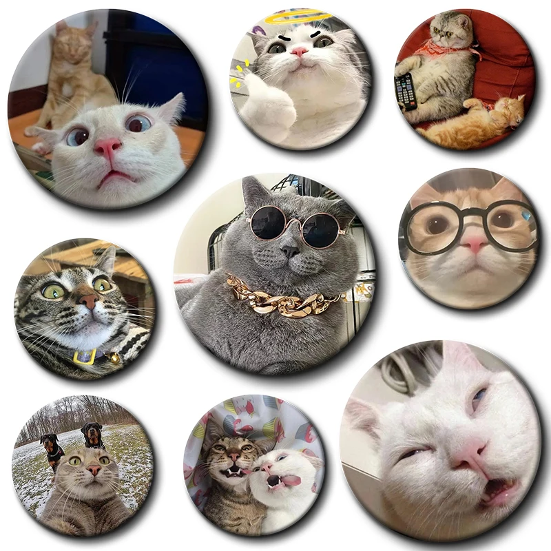 

Funny Cat Memes Pins Cute Round Snap-in Button Brooch Backpack Clothes Accessories Tinplate Enamel Badge Friend Jewelry Gifts