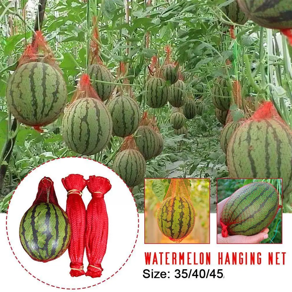 

10pcs Fruit Plastic Mesh Bag Watermelon Melon Grow Hanging Vegetable Hot Protection Bags Handle Greenhouse Drawstring Net N T5B6