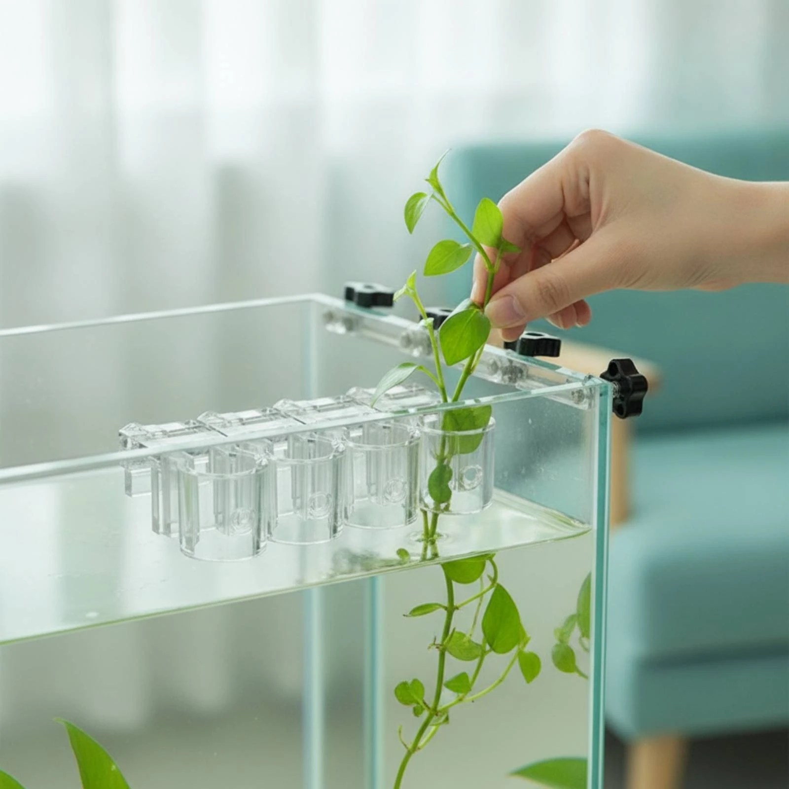 6 Pieces Aquarium Planter Clear Hydroponic Support Clip with Screws Aquatic Plant Cup Clamp-Style for Aquarists, Aquariums