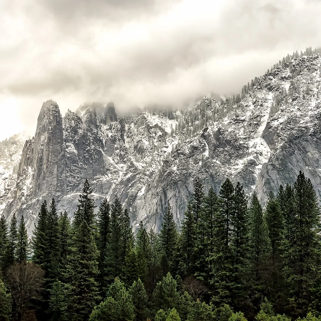 12.3 Inch For Merce… - image