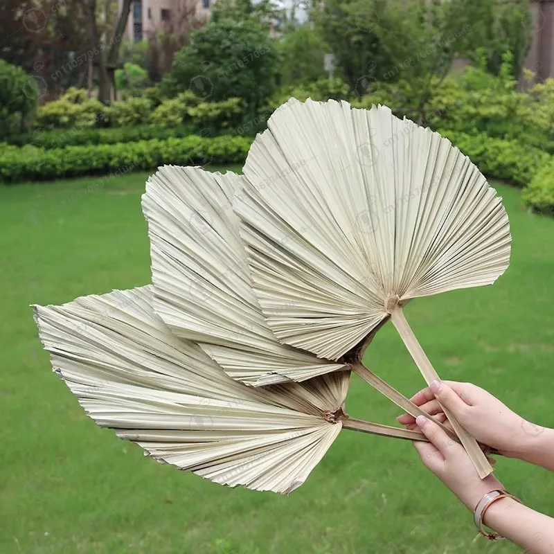 Yunnan dried flower pink dried palm leaf natural processing dyeing preserved palm leaf wedding house party - Detail 1
