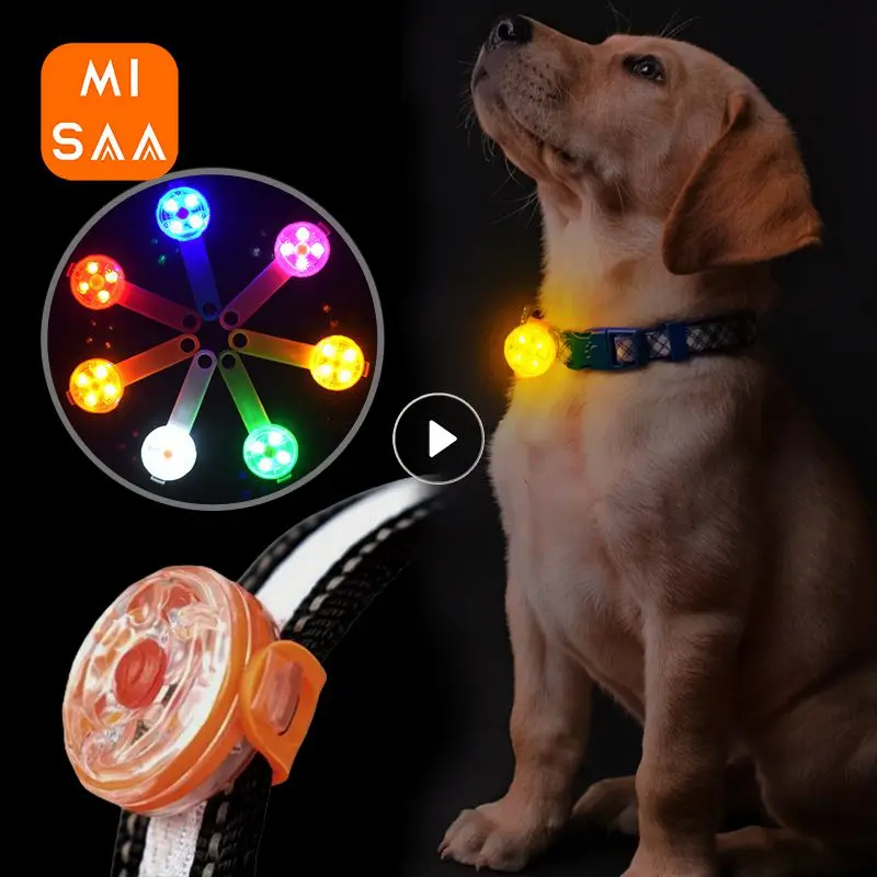 Collar LED impermeable para mascotas, colgante luminoso de seguridad nocturna con luz intermitente, suministros para perros, accesorios para gatos