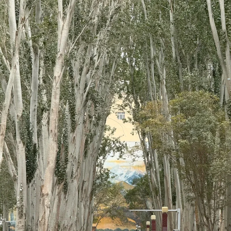 Kit di aggiornamento GEPRC MARK5 D/X Frame O4 Pro - Base parti telaio da corsa RC Freestyle FPV