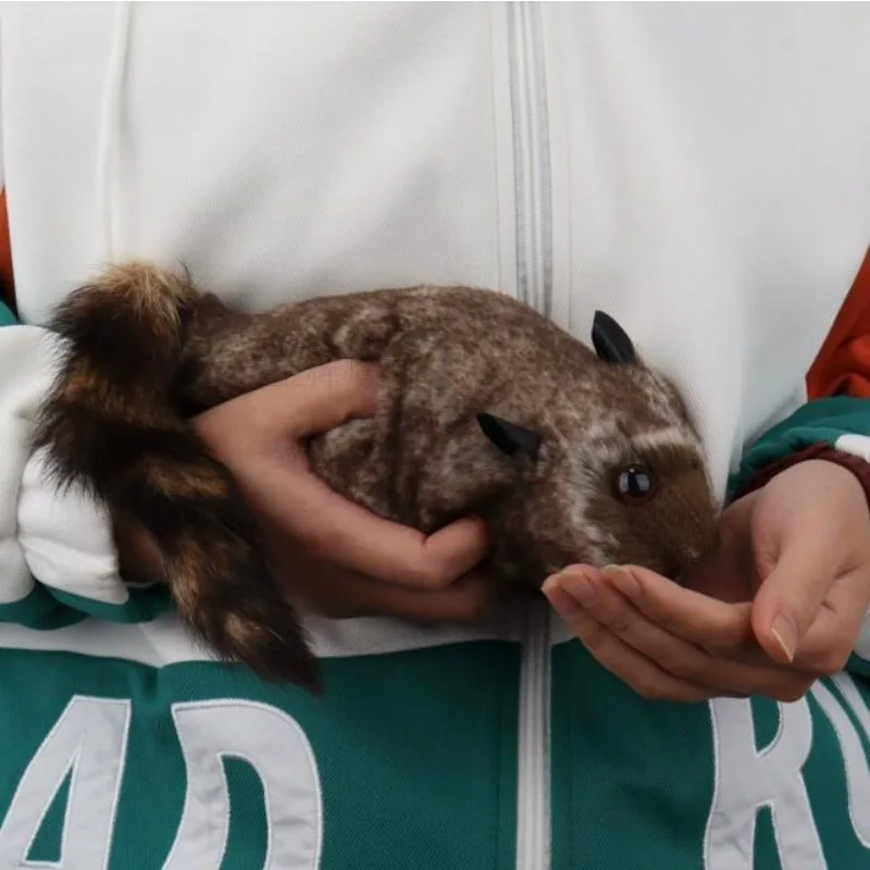 Рокки-енот Робби, магический енот, трюки, реквизит, комедия, ментализм, трюк, весеннее животное, появляющаяся сцена, магия, забавная магия