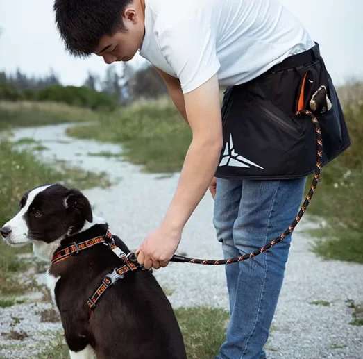 truelove-tlq1901-multi-pocket-dog-training-apron-3m-reflective-with-convenient-hanging-ring-for-pet-trainers