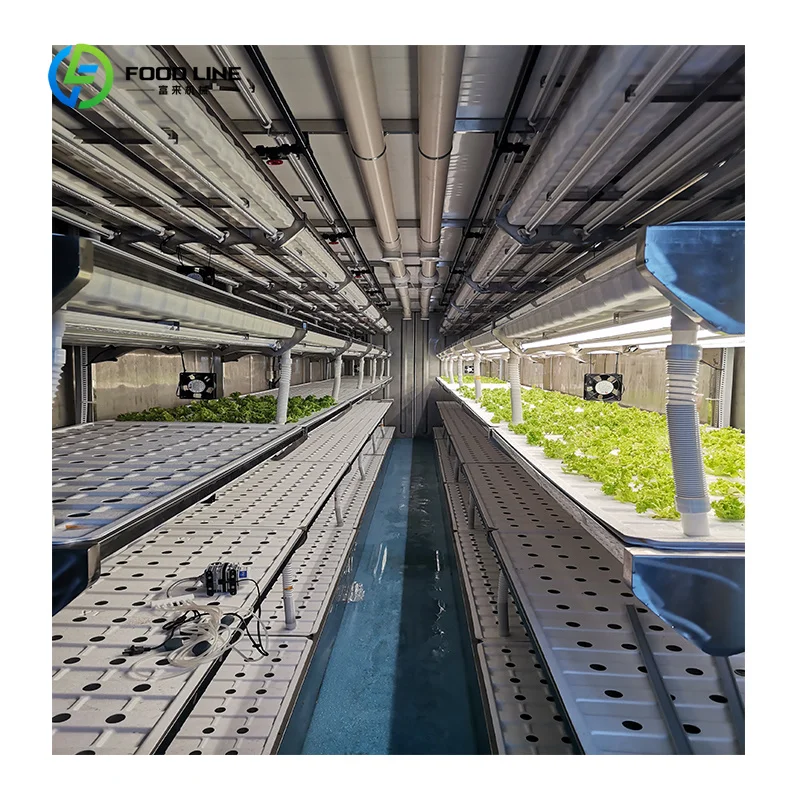 Customized Superfarm NFT Hydroponics System Vertical Farming Container Greenhouse Shipping Container Farm