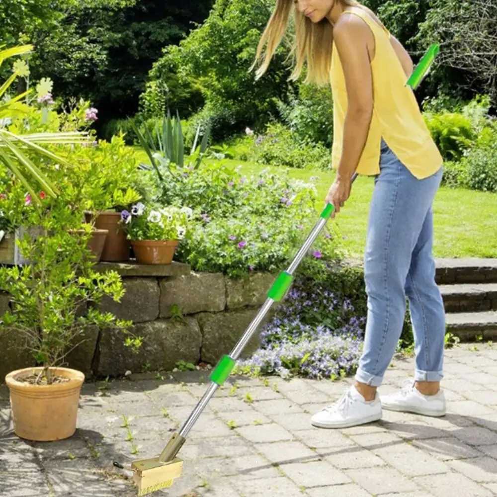 

Long Steel Handle Manual Crack Weeder Pulling Hook Stainless Steel Moss Grass Puller Tool Detachable Steel Wire Broom Head