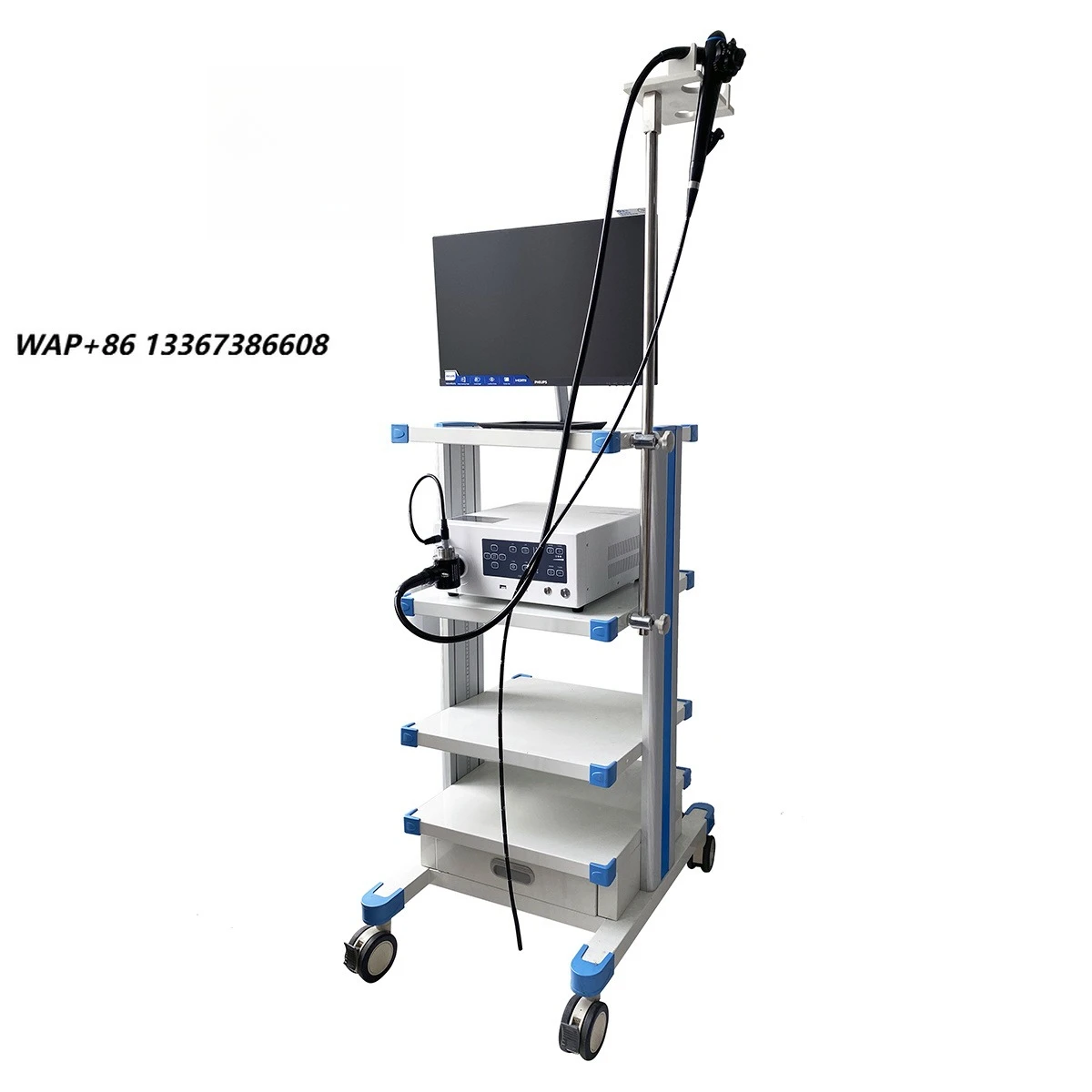 European Veterinary Distributors Flexible Veterinary Video Endoscopy Systems Veterinary Equipment Stainless Steel Medical