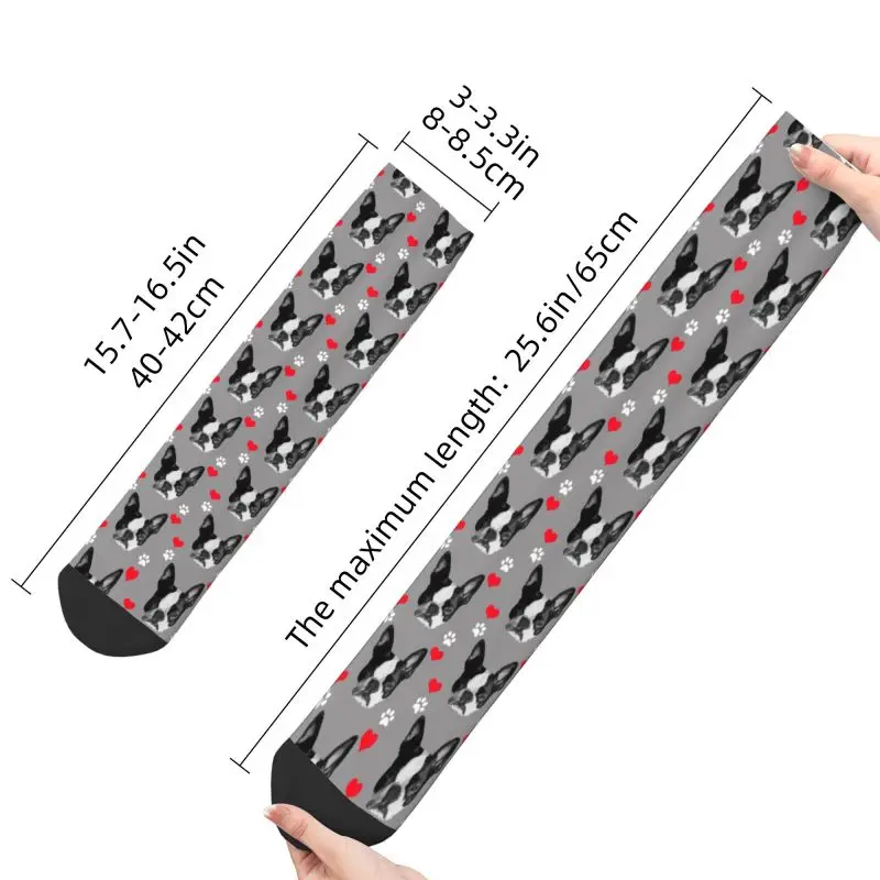 Calcetines de vestir Unisex con estampado 3D para hombre, medias transpirables con estampado de animales y perros, estilo Kawaii, Boston Terrier