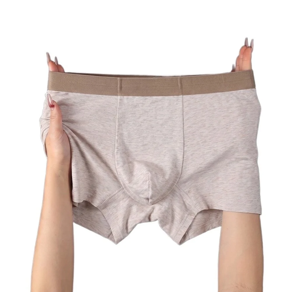 Men Ice Silk Boxer Underwear U-Convex Mesh Breathable Panties Boxershorts Trunks Solid Elastic Waist Daily Underwear