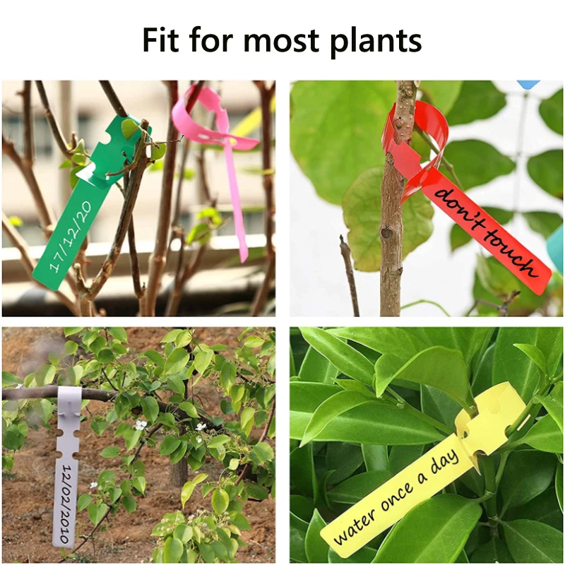 25/50/100 stücke Garten Etiketten Pflanzen klassifizierung Sortierung Zeichen Tag Ticket Kunststoff Schreib platte Brett Plug in Karte bunt – Detail 11