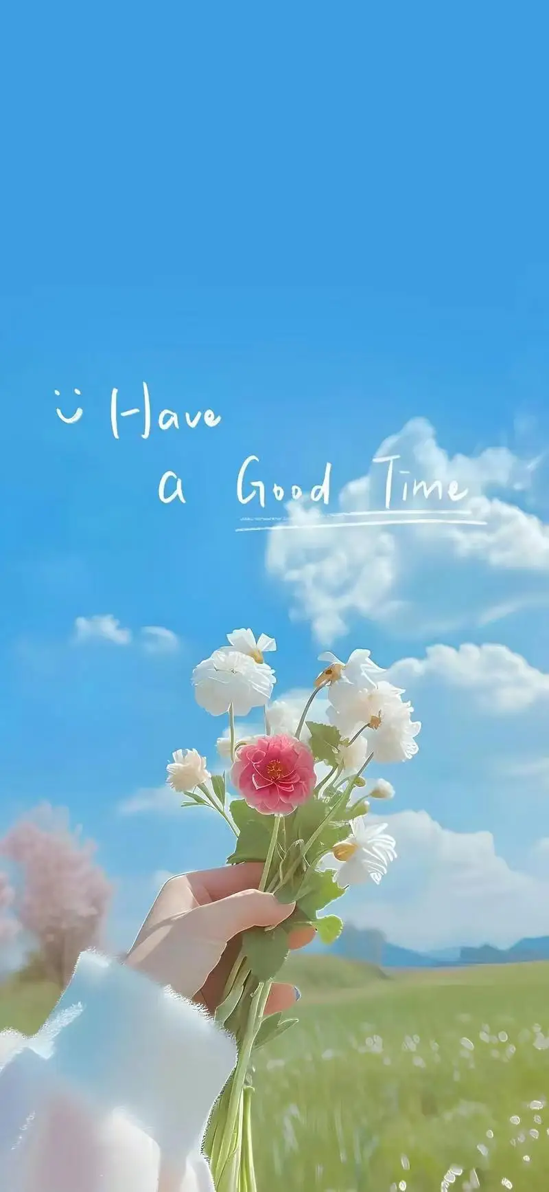 

6500W 15 Tesla myoslim Body Sculpting Roller HI EMT Inner Ball Dual Tech for Slimming Cellulite Reduction Full Body