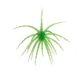 4    7cm1.6g