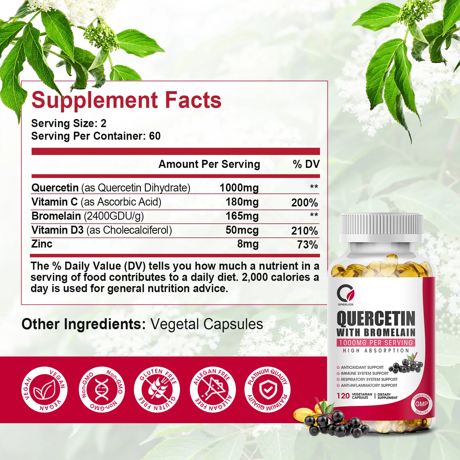 Natural Quercetin Supplement Vegan Capsules Bioflavonoid Support - Supports Immune Health and Energy Levels