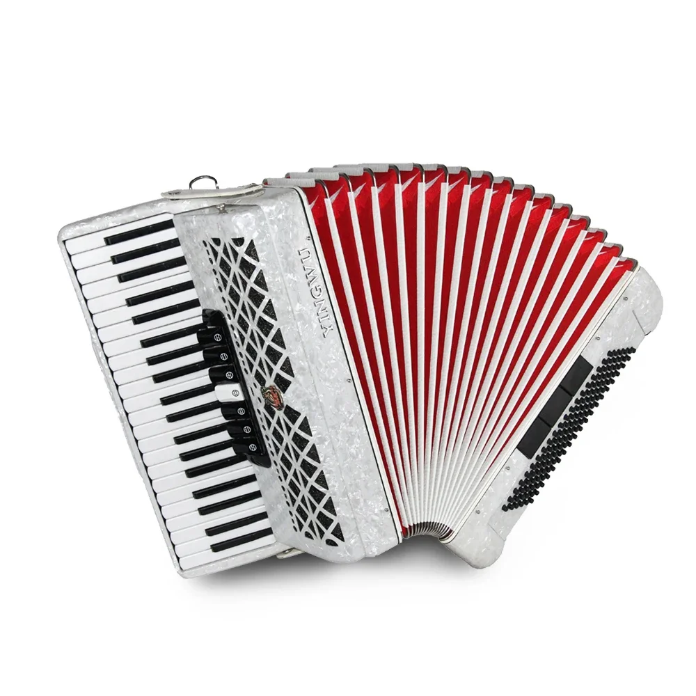 

41 keys 120 bass 10 Register diatonic keyboard Accordion Piano Musical Instrument for Beginner