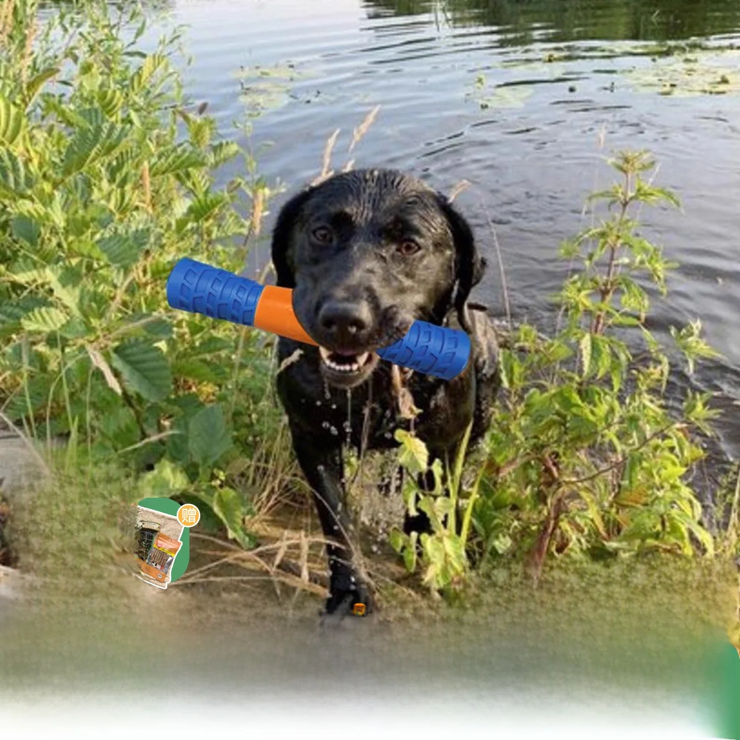 Interactive Dog Toy Water Floating Sti Summer Swimming Squeaky Pet Toy Durable Chew Resistant Fun for Dogs All Breeds Sizes