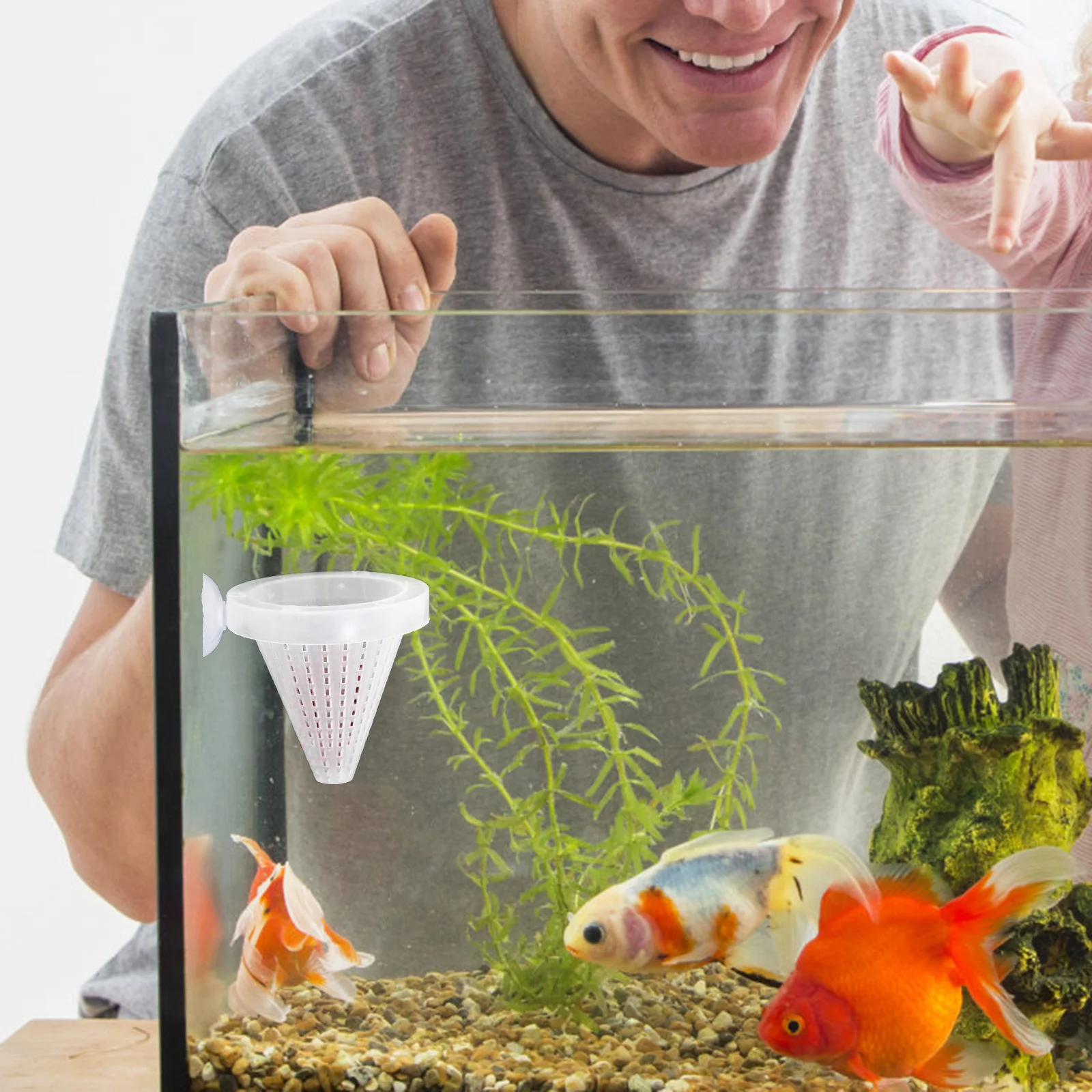 

4pcs Fish Feeding Cups Plastic Red Worm Container Sucker Design Easy Clean Aquarium Pet Supplies Fish Tank Accessories