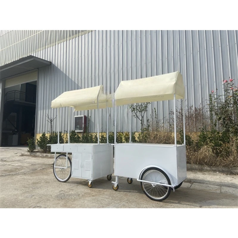 Small portable electric cart cold plate push umbrella outdoor mini wheel supermarket cart