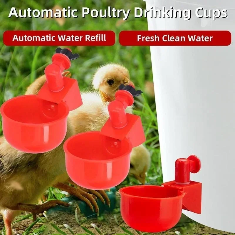 

Automatic Chicken Drinking Cup Farm Chicken Coop Poultry Drinker Drinking Water Feeder for Chicks Ducks Goose Turkey Quail