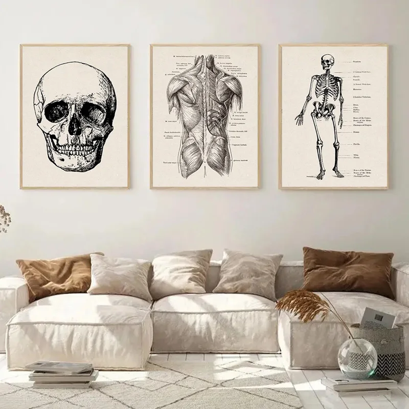 Vintage Human Anatomy Artwork Medical Wall Picture Muscle Skeleton Poster Canvas Paintings Art Print Education Hospital Pharmacy