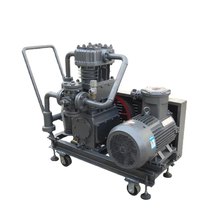 Lpg Gas Compressor Conversion Kits Cng Gas Compressor With Oil Free