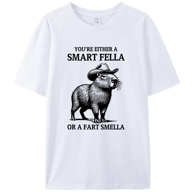 You're Either A Smart Fella Or A Fart Smell Clothing Men's T-Shirt Graphic Casual Streetwear Hipster Loose Tee Shirts Tops Gifts